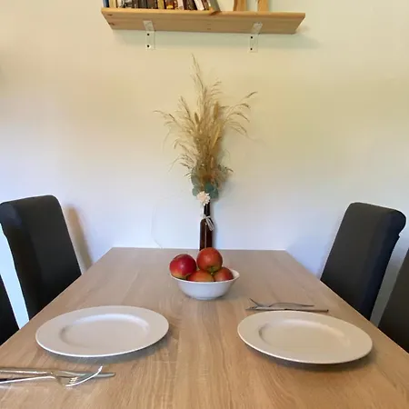 公寓 Voll Ausgestattete 3 Mit 2 Schlafzimmer 菲林根-施文宁根