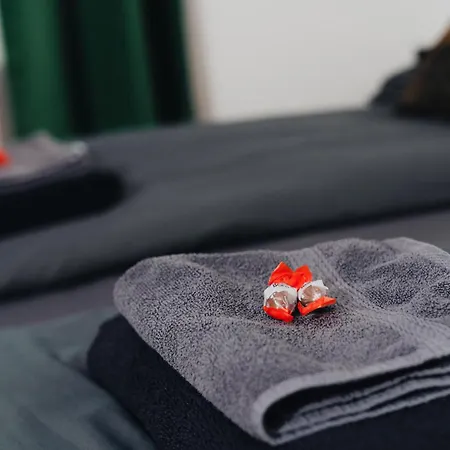 Voll Ausgestattete 3 Mit 2 Schlafzimmer Daire Villingen-Schwenningen