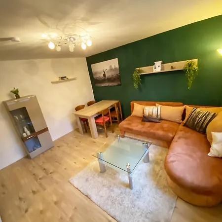 公寓 Voll Ausgestattete 3 Mit 2 Schlafzimmer 菲林根-施文宁根